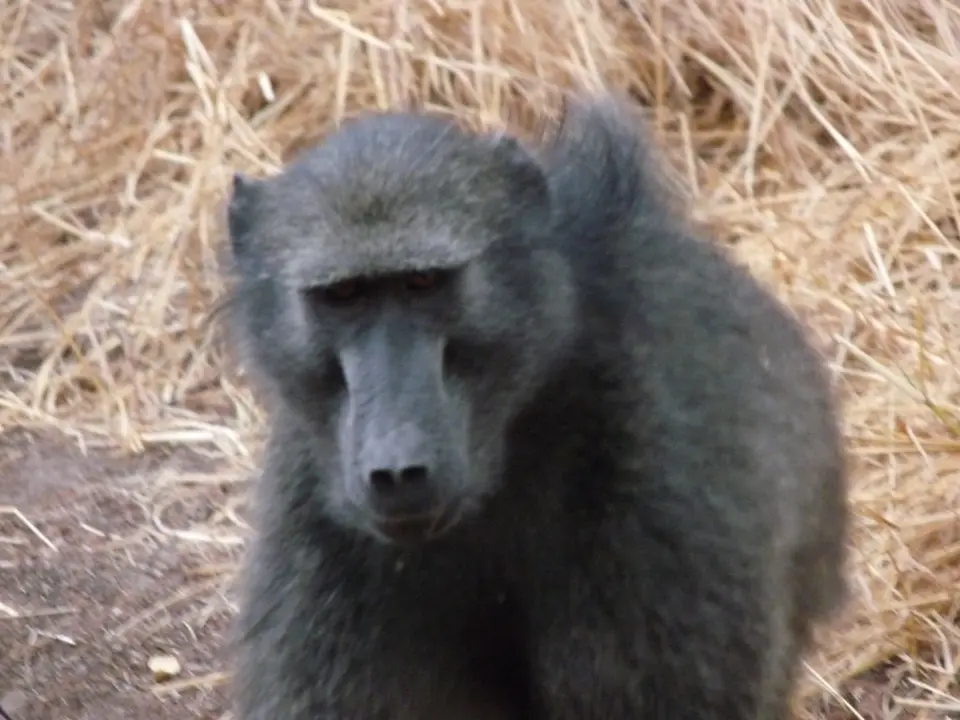 B0000108.JPG