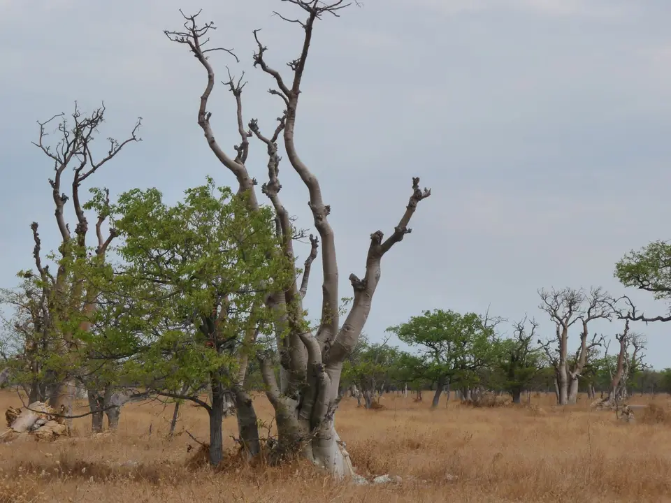 B0000301.JPG