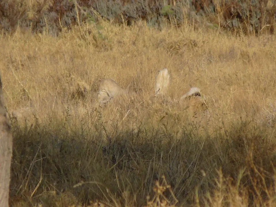 B0000314.JPG