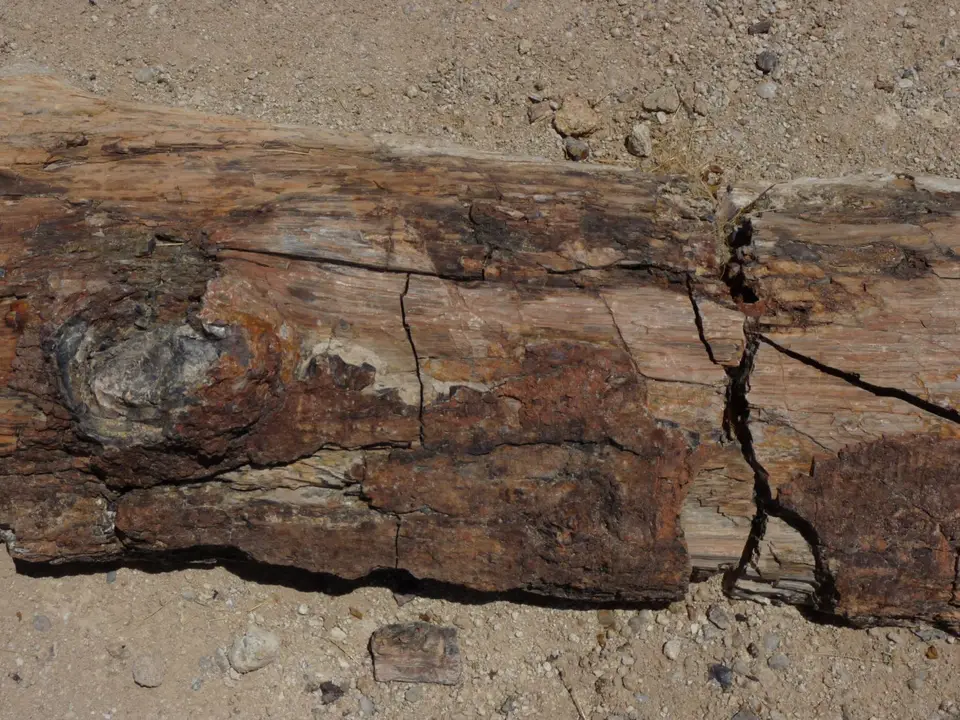 B0000323.JPG