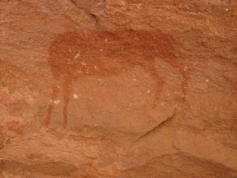 B0000351.JPG