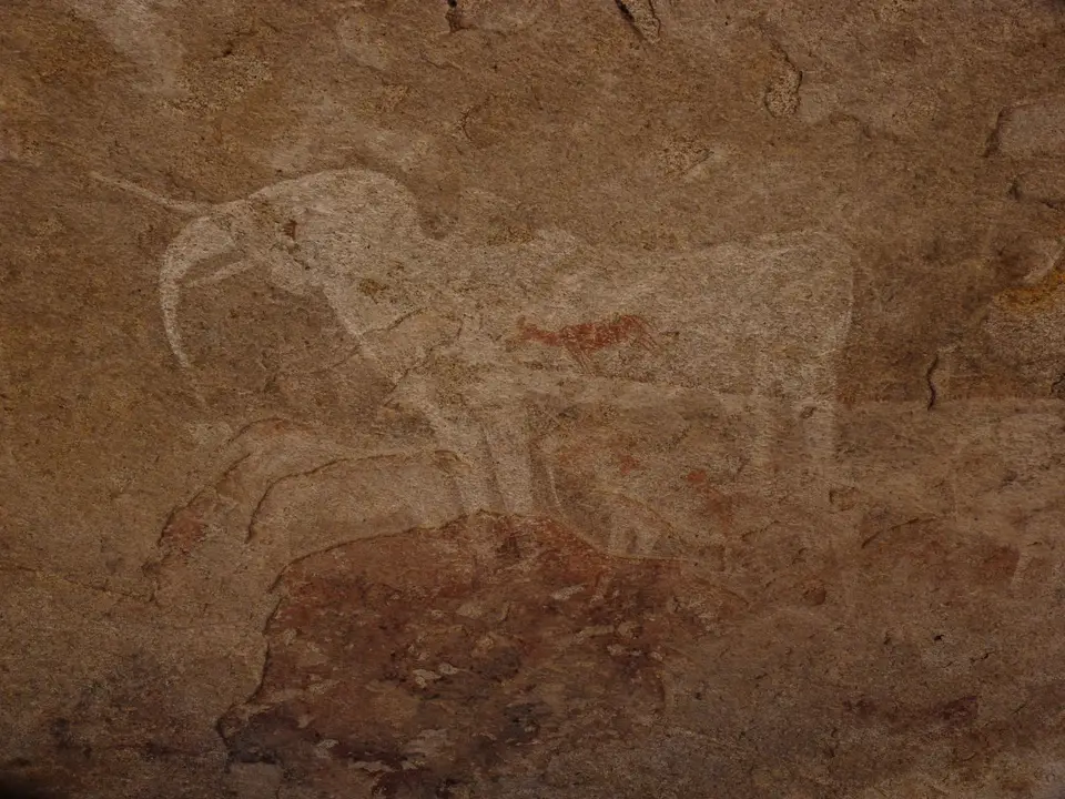 B0000412.JPG