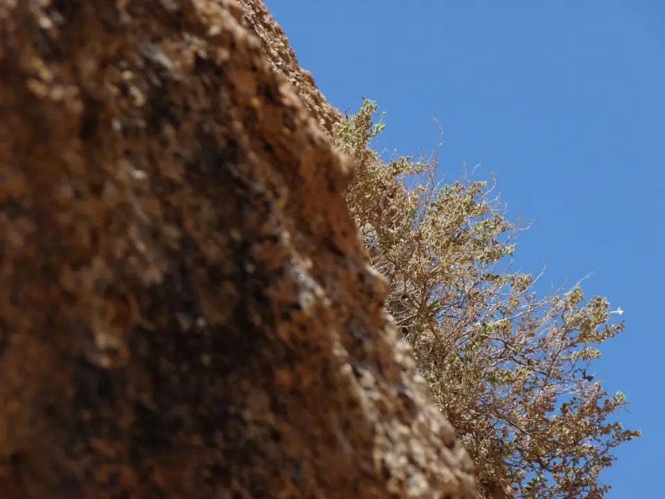 B0000424.JPG