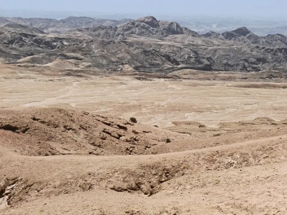 B0000478.jpg