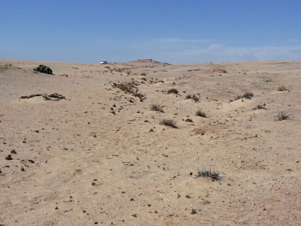 B0000480.jpg