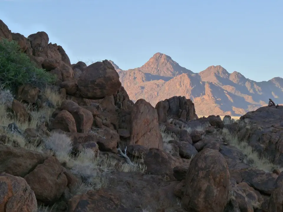 B0000509.jpg