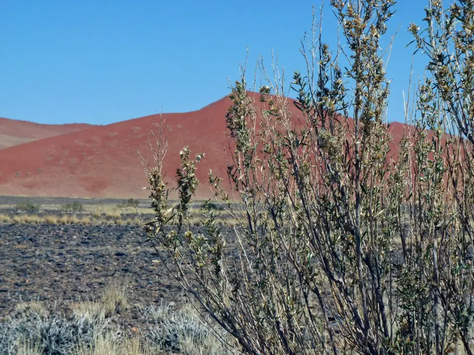 B0000518.jpg