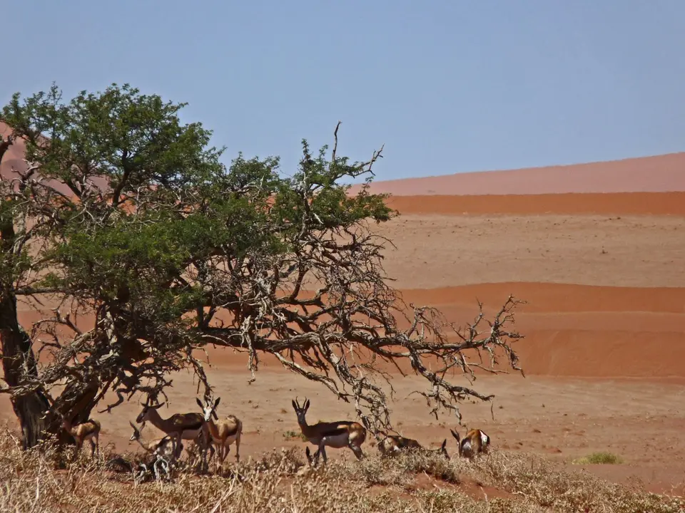 B0000522.jpg