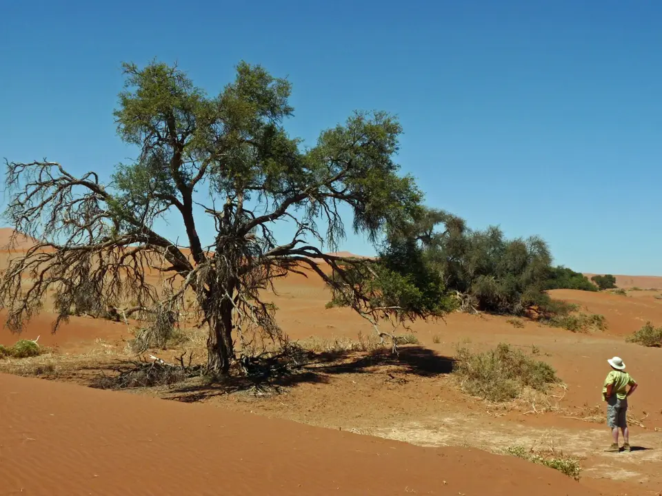 B0000525.jpg