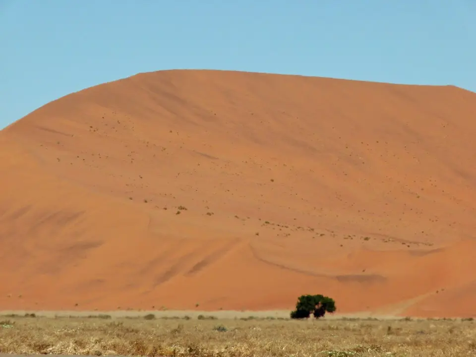 B0000539.jpg