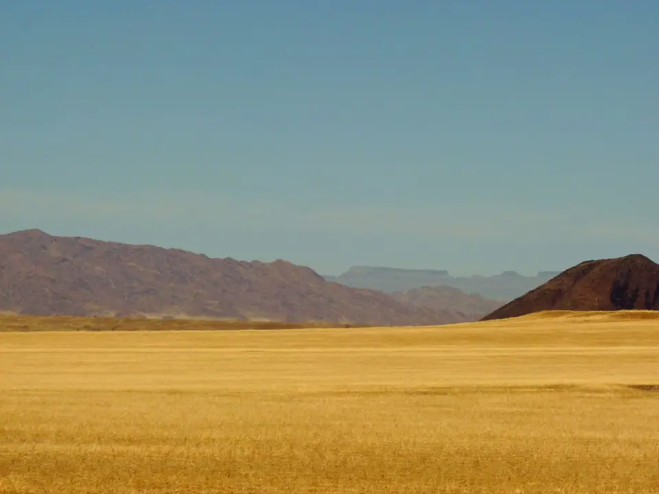 B0000542.jpg
