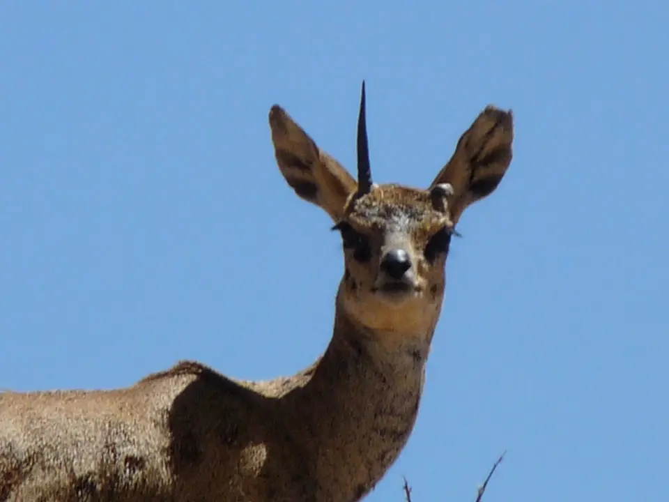 B0000563.JPG