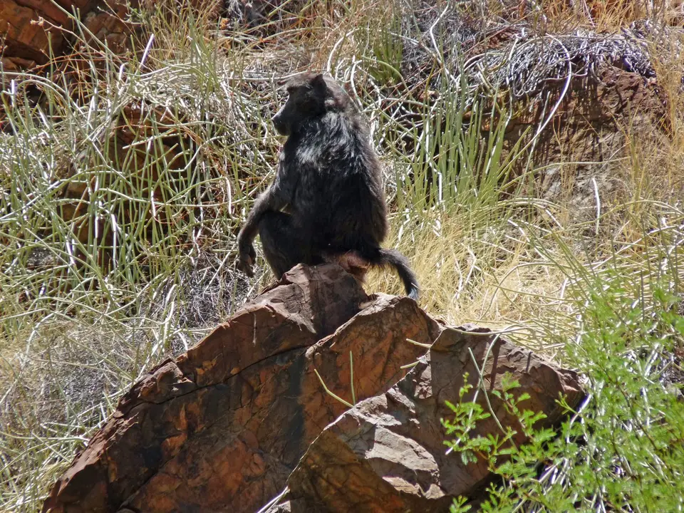 B0000568.jpg