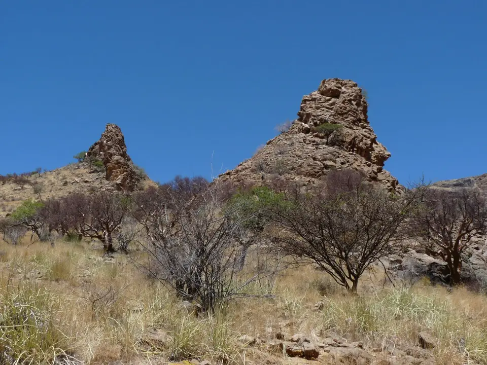 B0000569.JPG