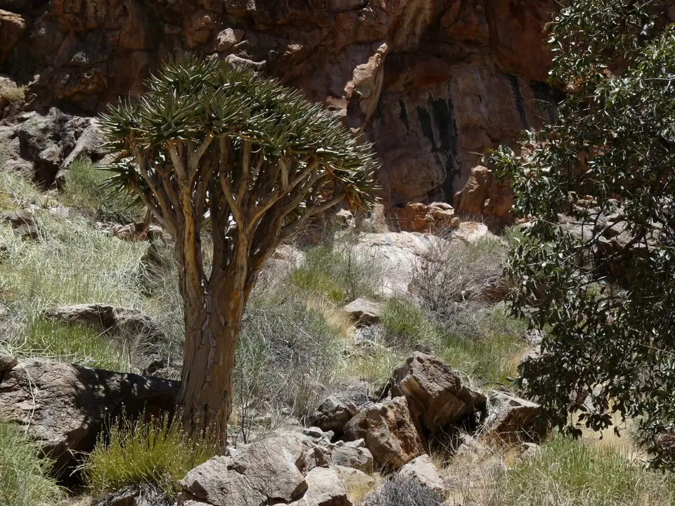 B0000570.JPG