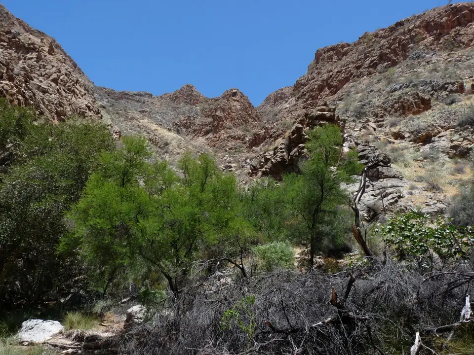 B0000573.JPG