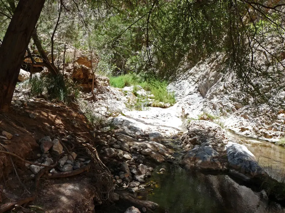 B0000574.jpg