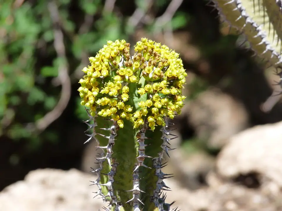 B0000577.JPG