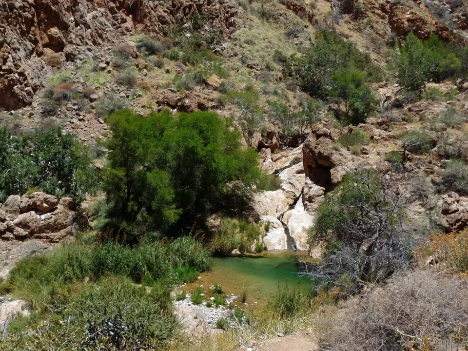 B0000580.jpg