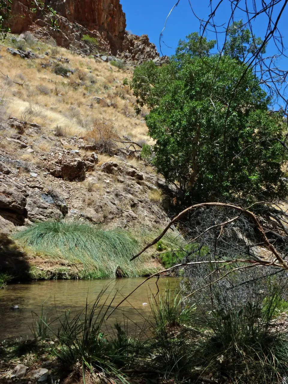B0000581.jpg