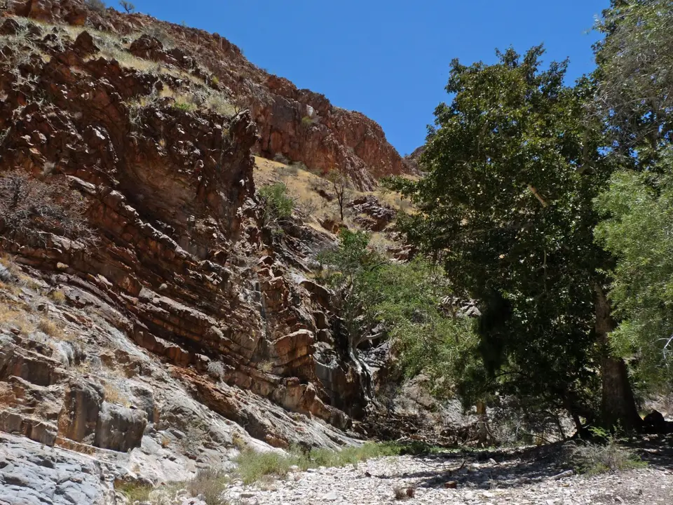 B0000584.jpg