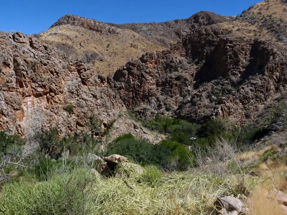 B0000594.jpg