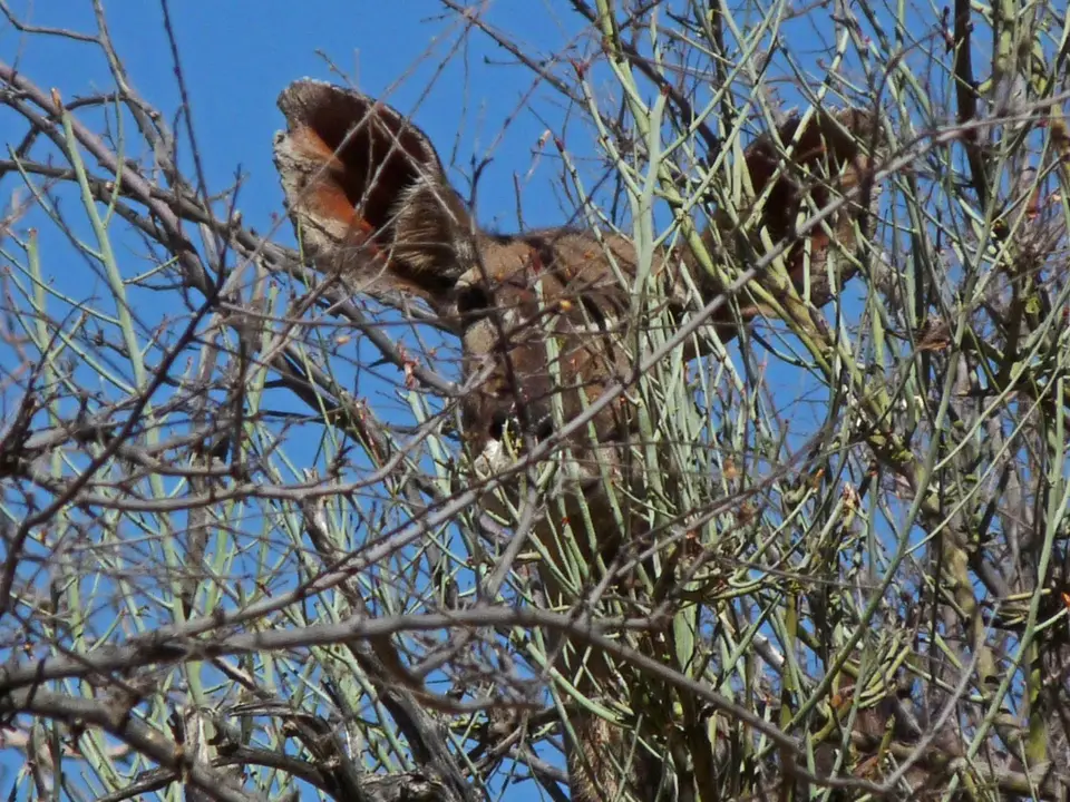 B0000601.jpg