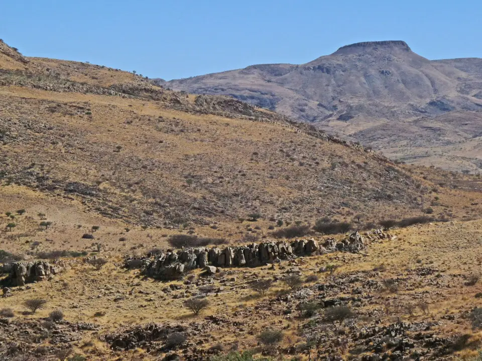 B0000614.jpg