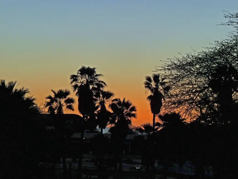 B0000620.jpg