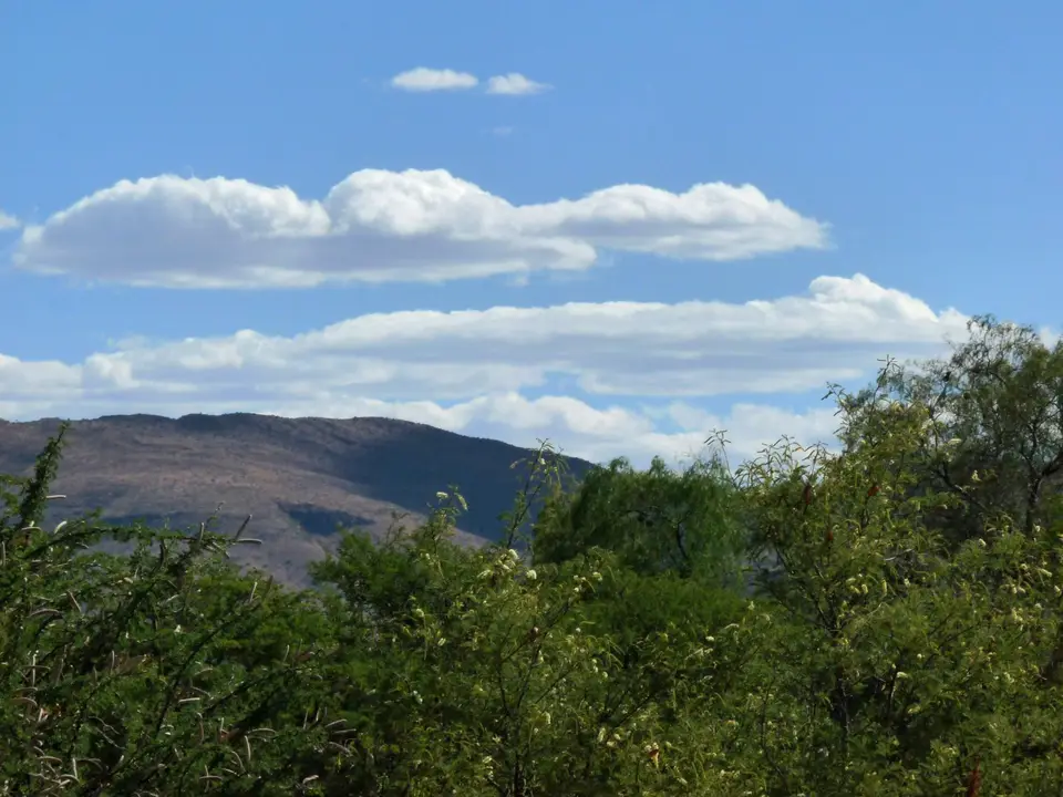 B0000624.jpg