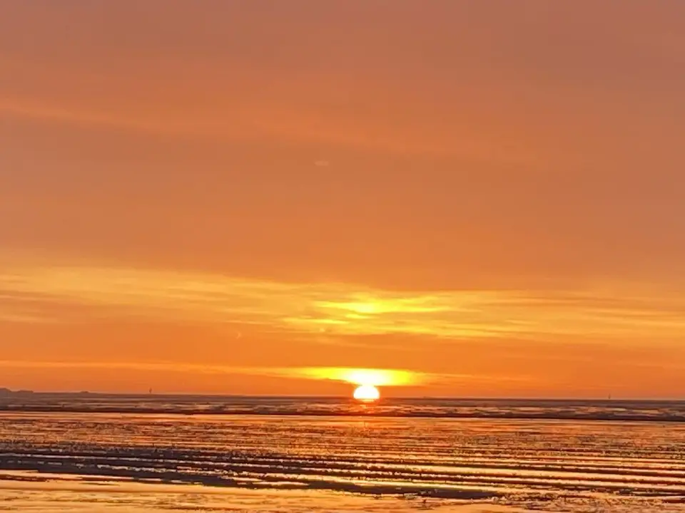 C73C7932-B7A7-4D28-888D-30484F1E8E8A.jpeg