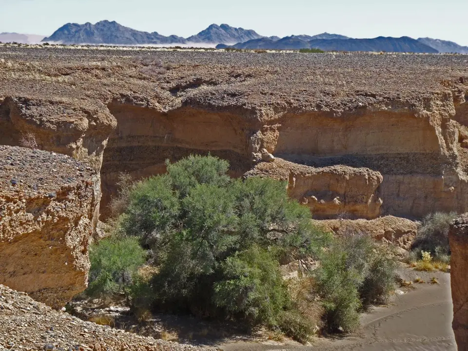 Canyon.jpg