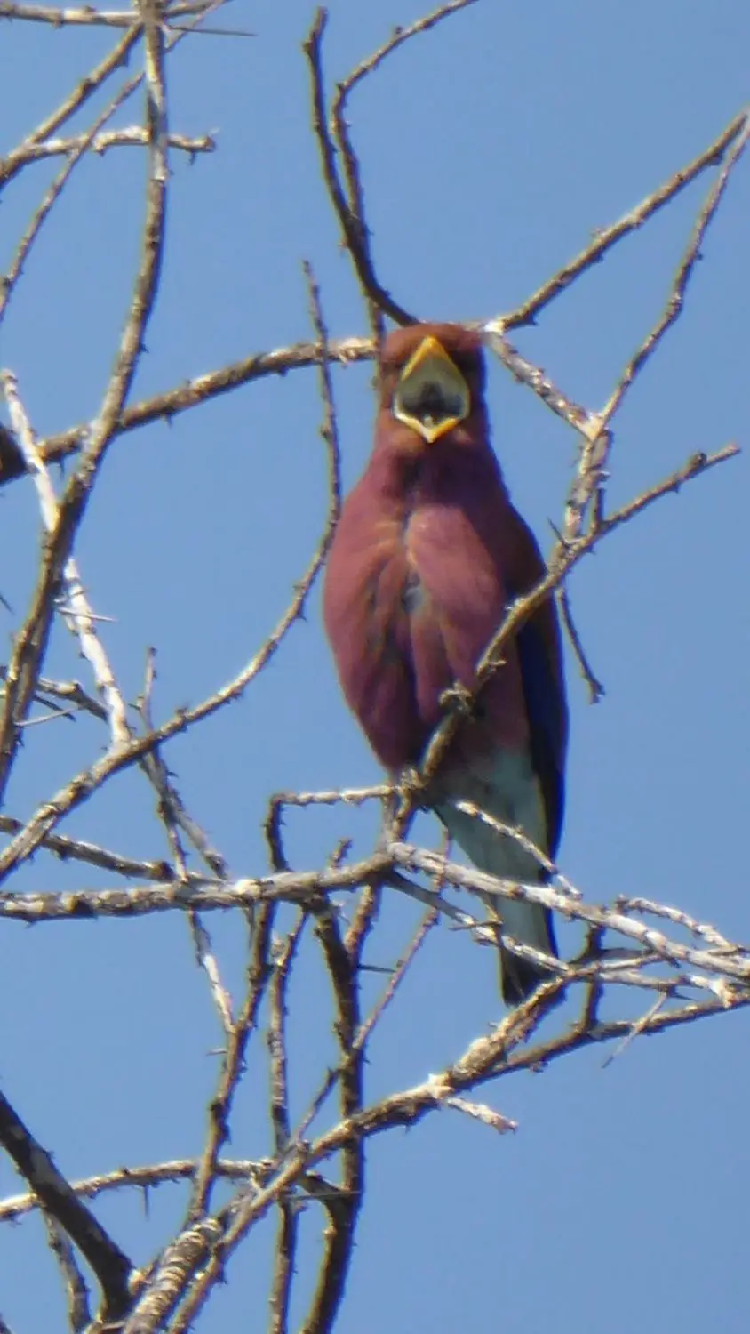 IMG_3950.jpeg