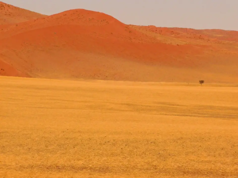 Sandsandsand.jpg