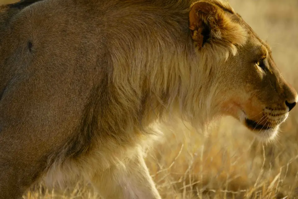_DSC1302_1.JPG