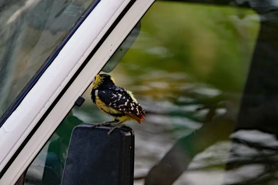 _DSC1545_1.jpg