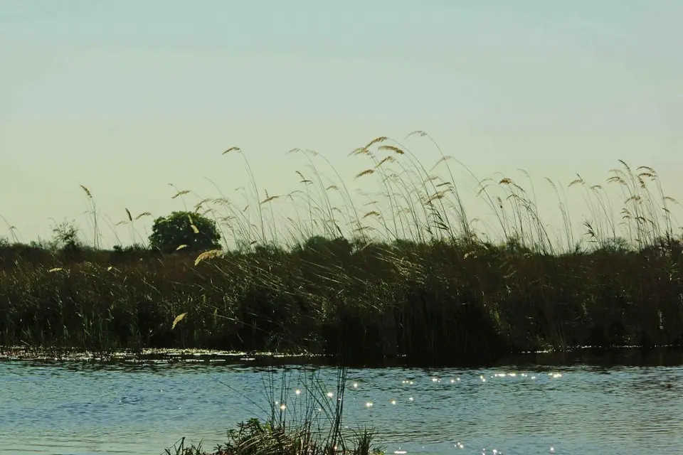 h06609ef.JPG
