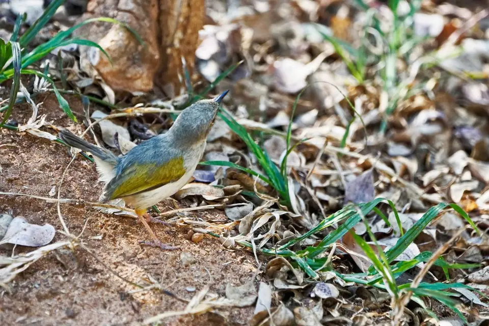 h4c08e04.jpg