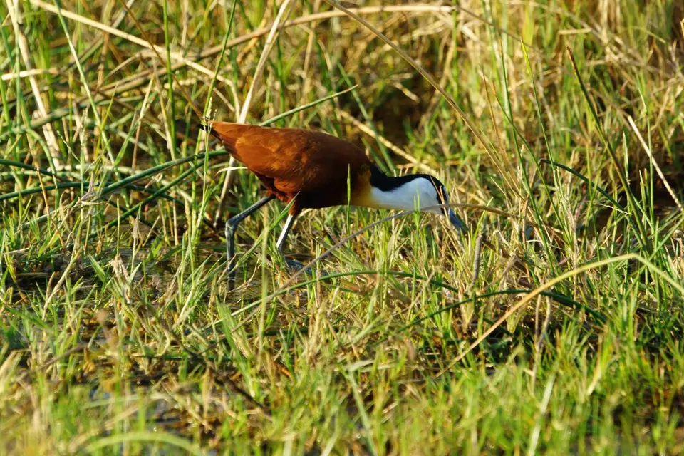 h62158d9.JPG