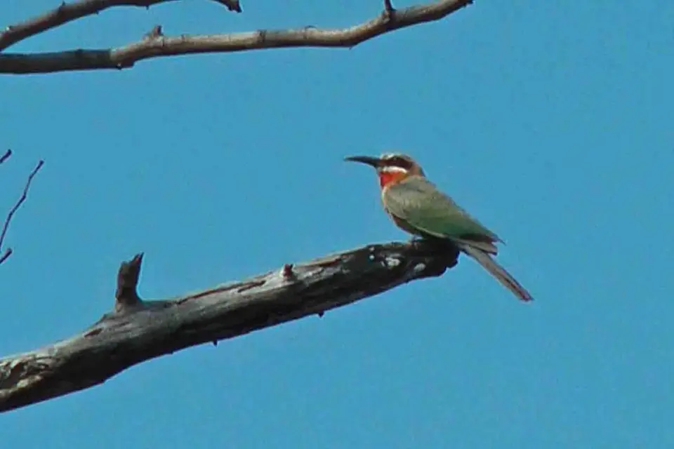 h6670e72.jpg
