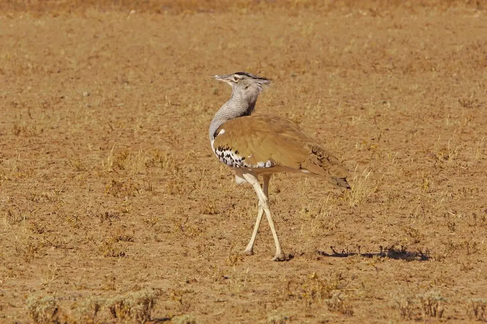 h9952503.JPG