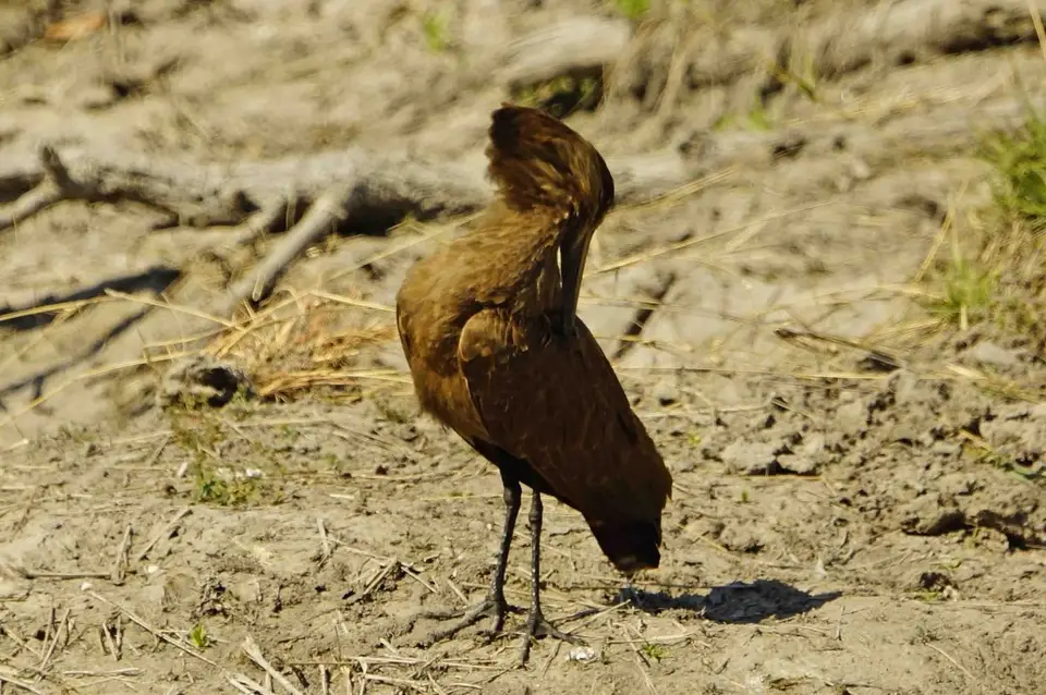 hc0b916c.JPG