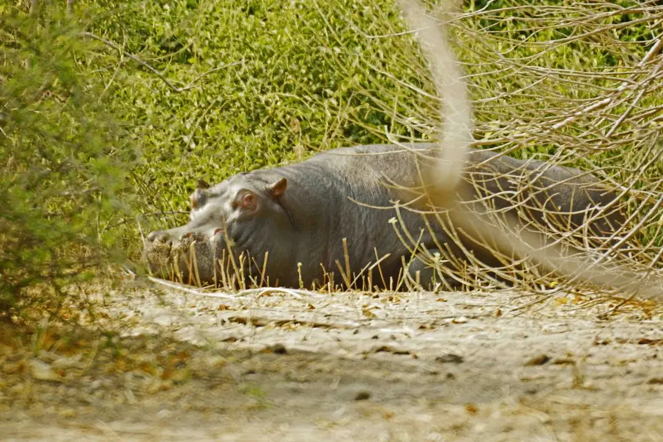 hc970848.jpg