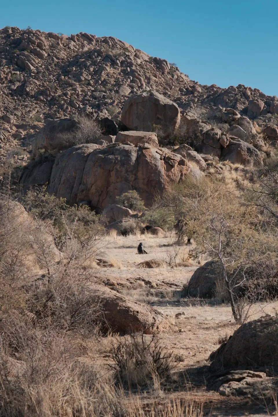 2-Namibgrens4.jpg