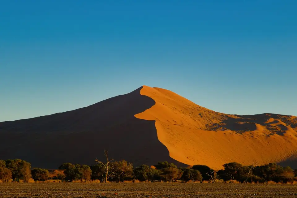 3-DesertCamp93.jpg