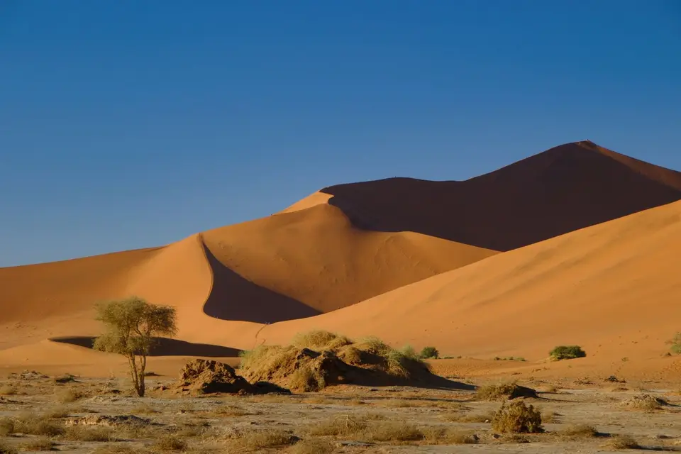 3-DesertCamp94.jpg