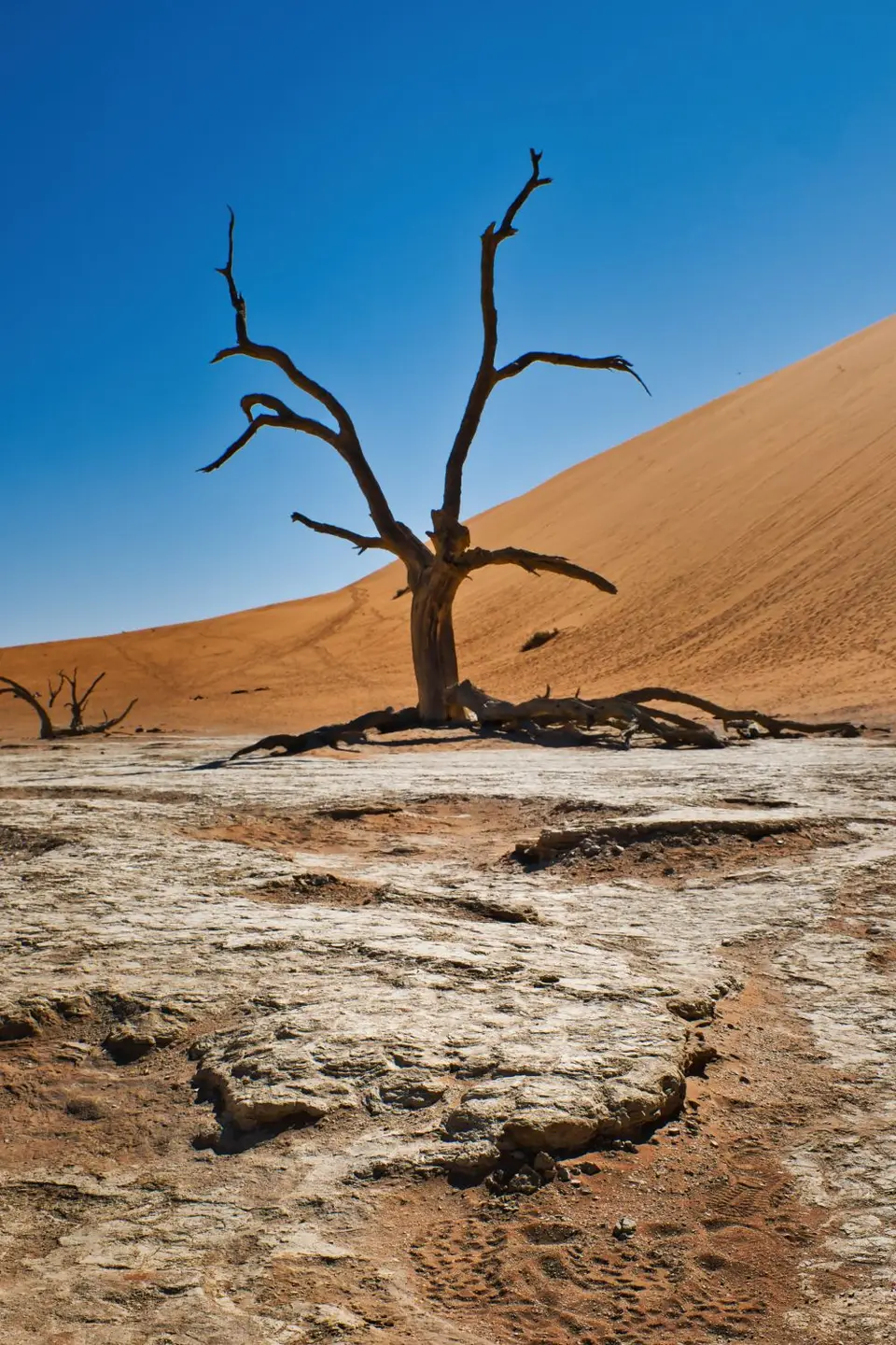 3-DesertCamp95.jpg