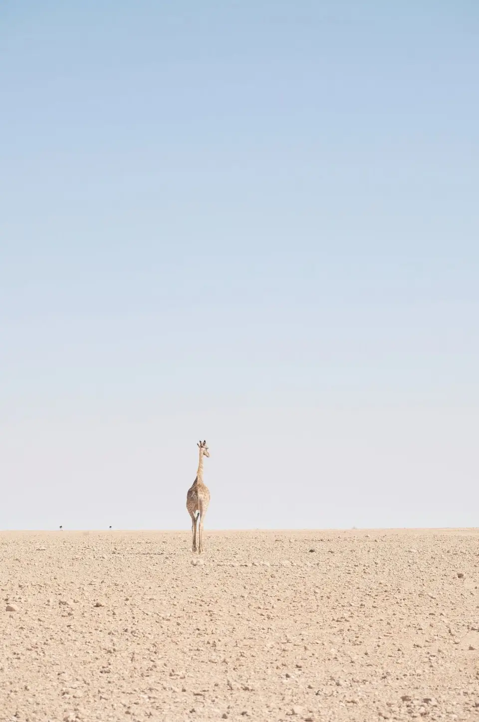 4-Bushmans09.jpg