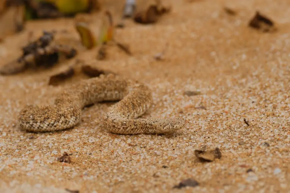 5-Swakopmund07.jpg
