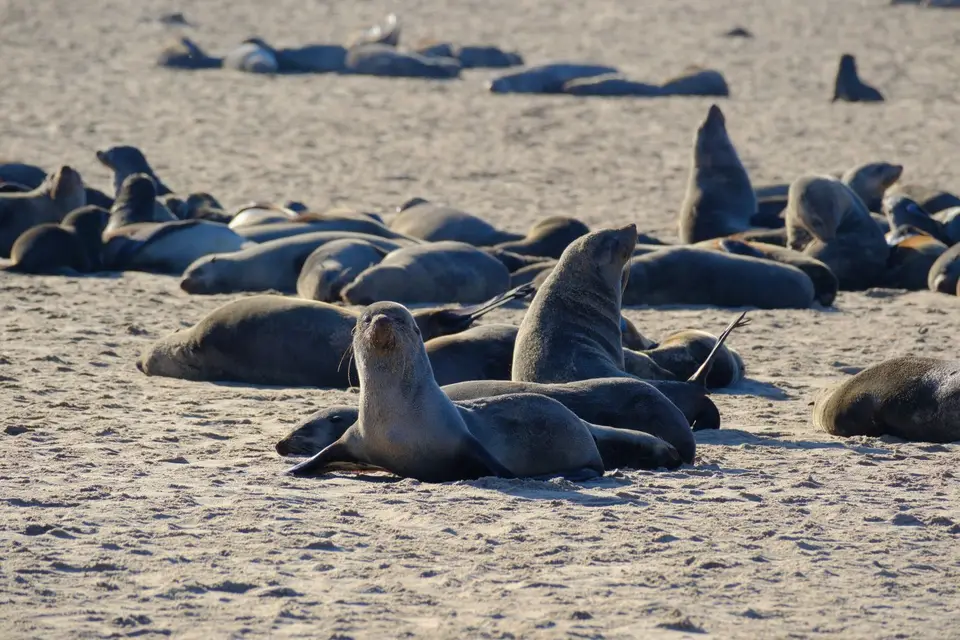 5-Swakopmund18.jpg